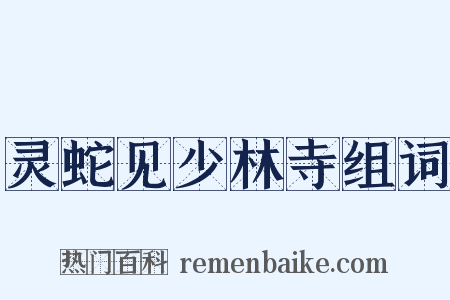 灵蛇见少林寺组词是什么意思的图片